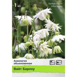 Многолетники Промо