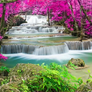 B1-079 Фотообои DIVINO Collection B 2.7х3 м