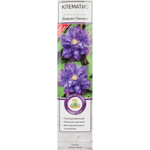 Клематис крупноцветковый Вивьян Пеннел 82527598 STLM-2039078