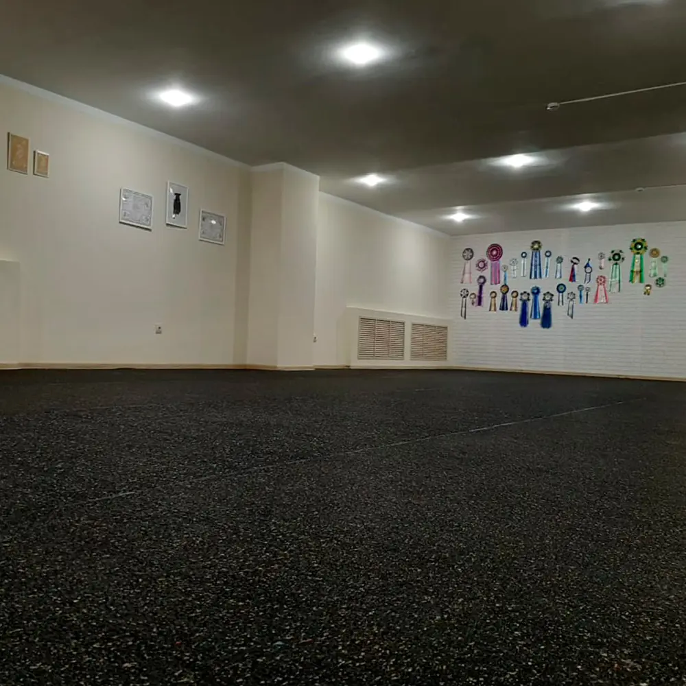 Покрытие резиновое Alegria color 10х1.2 м 4 мм Santreyd STLM-2155020 - Вид №8