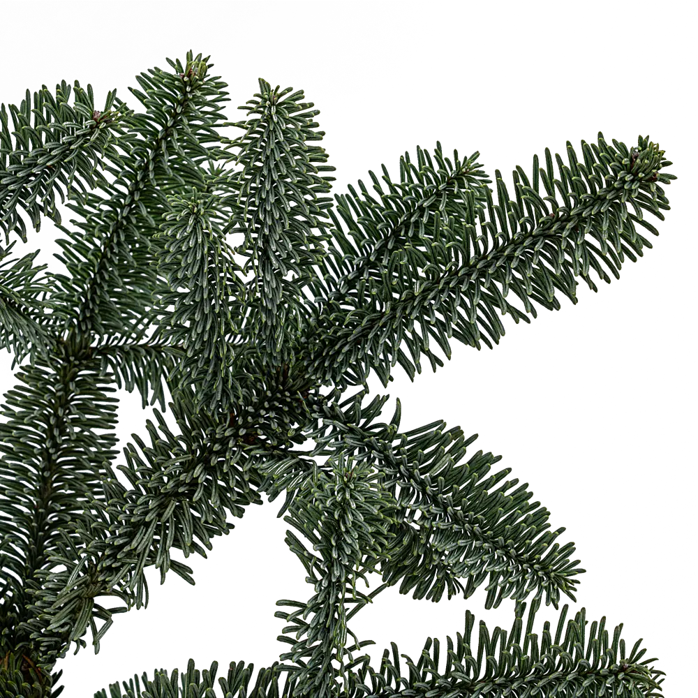 Ветка Нобилис h30-90 см Santreyd STLM-2117400 - Вид №1