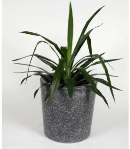 KAROISTANBUL Ваза в венецианском терраццо Complementi d'arredo