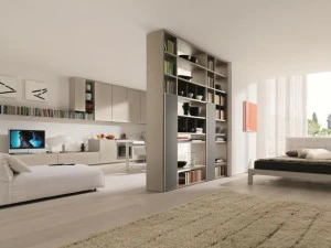 Zalf Модульный двухсторонний книжный шкаф Link system