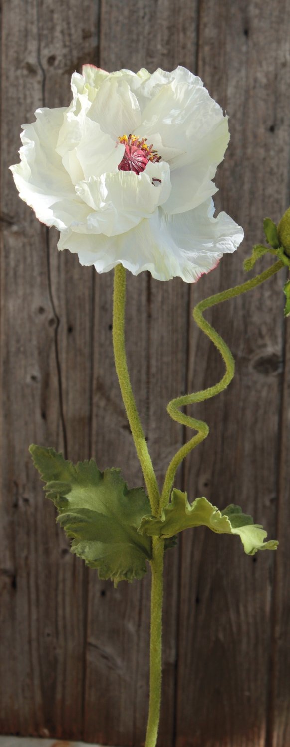 4559 778 a3 Мак искусственный, 1 цветок, 1 бутон, 90 см, бежево-белый H-andreas  - Вид №3