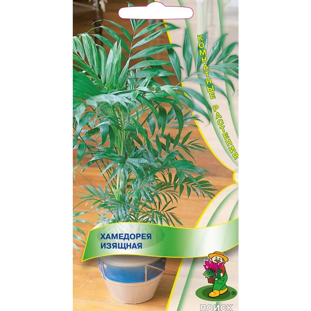 Семена Хамедорея «Изящная» ПОИСК STLM-2039218