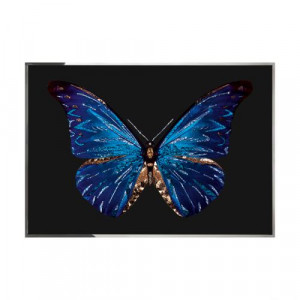 Farfalla Смешанная техника Visionnaire