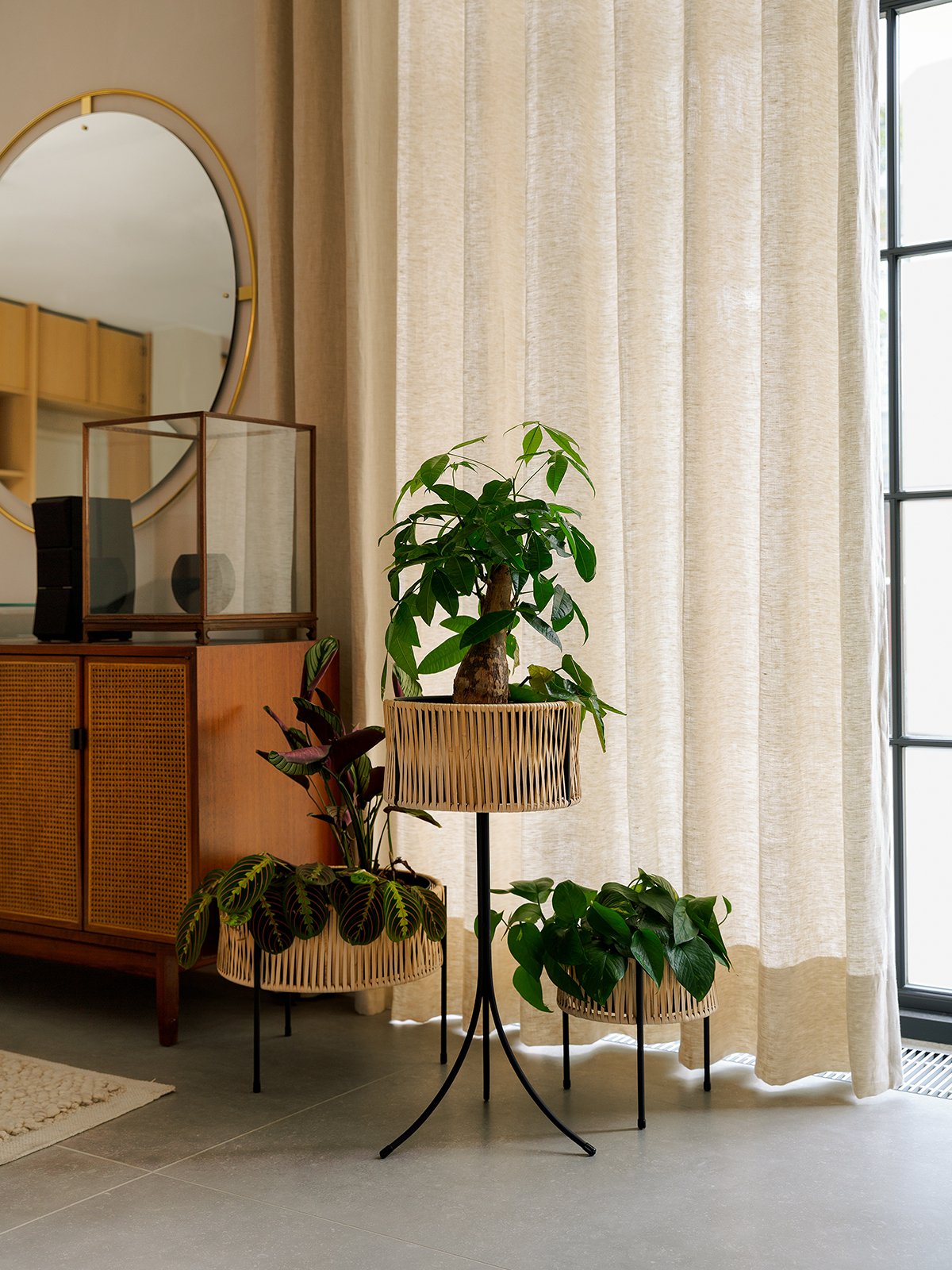 5712539 MENU Уманофф Плантатор, 69 