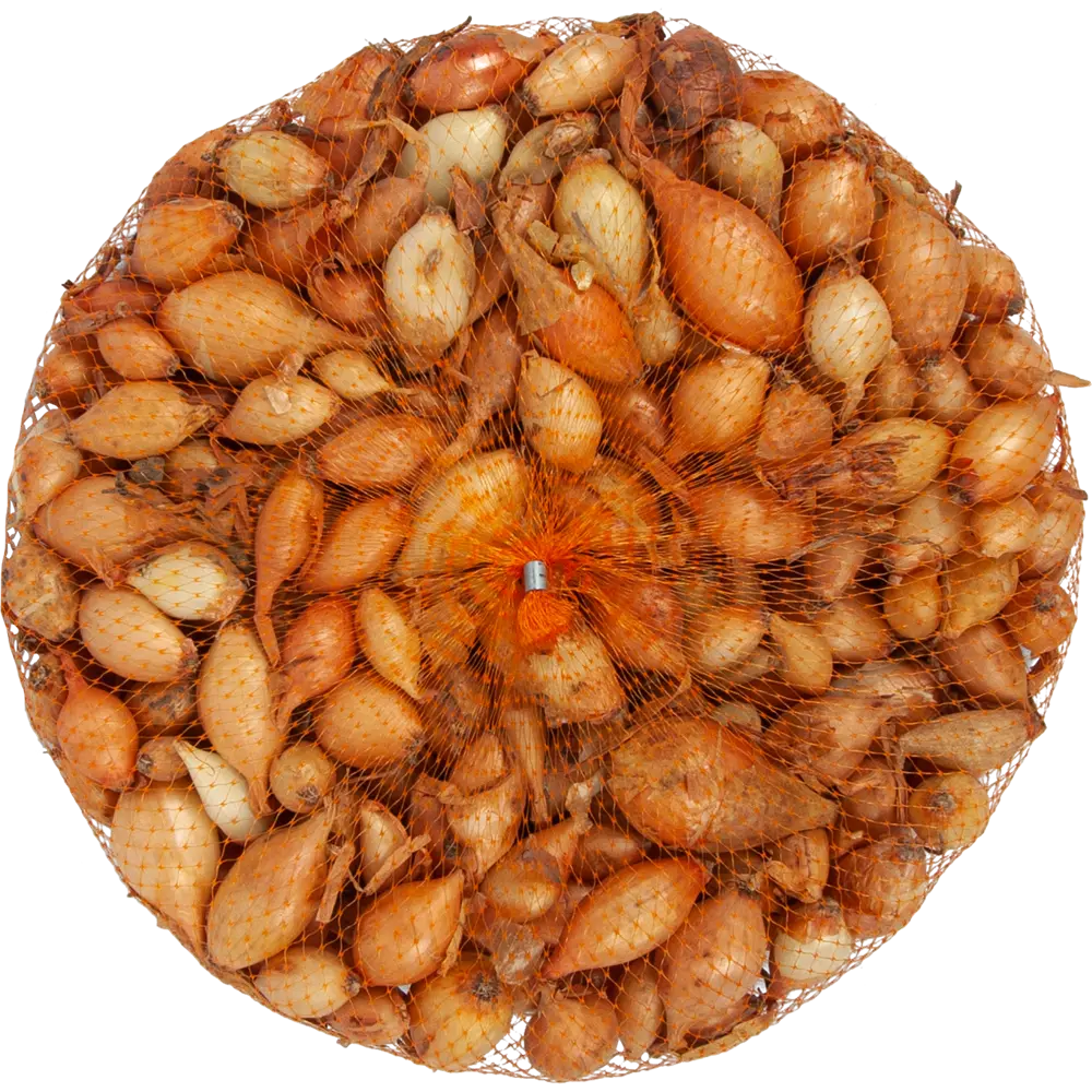 Лук-севок Геркулес 10/21 0.5 кг Santreyd STLM-2156443