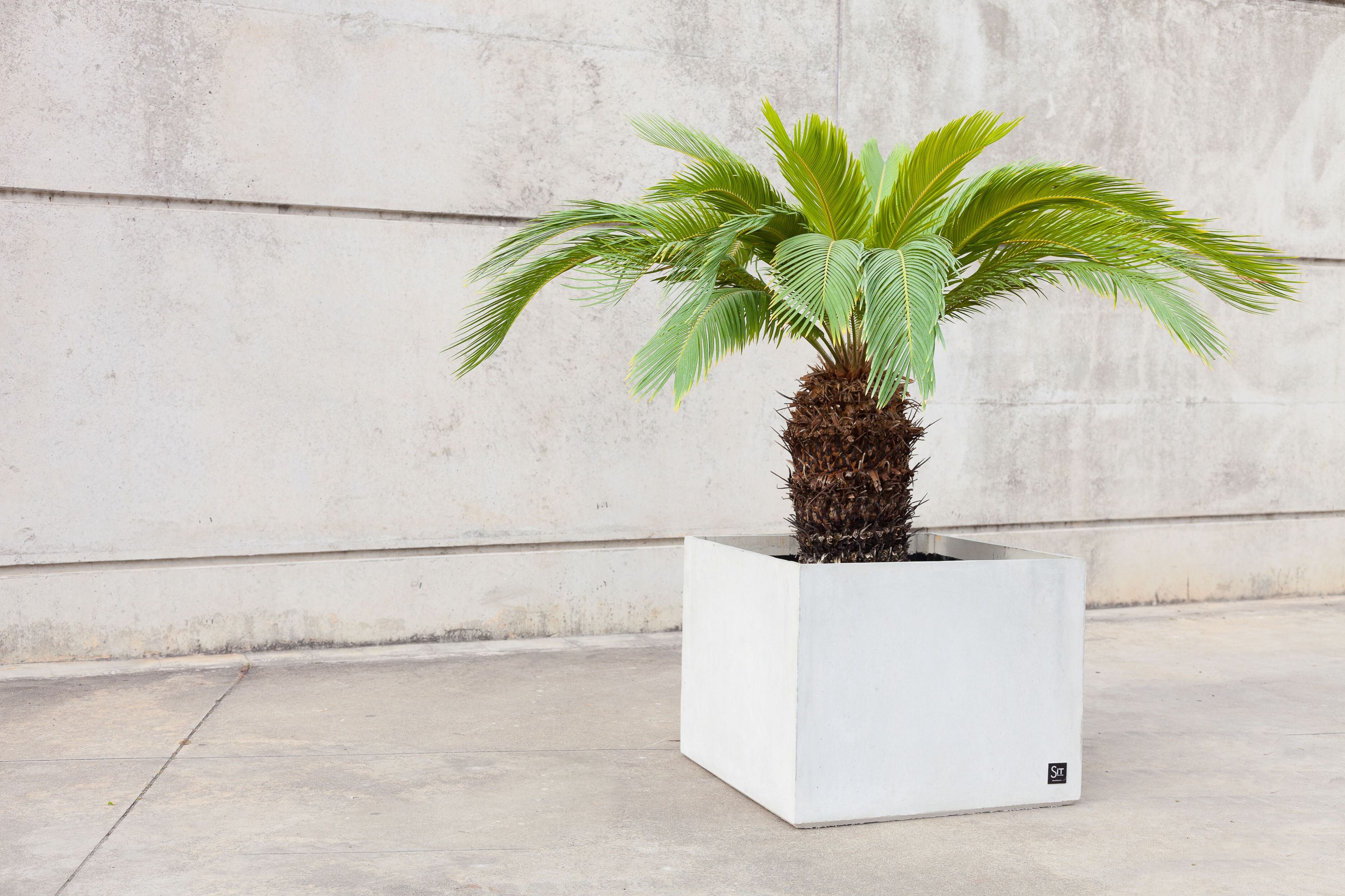 Квадратный плантатор из армированного волокном бетона SIT Cubic ARCH-00079442 - Вид №4