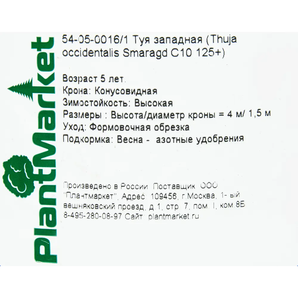 Туя западная «Смарагд» C10, 125 см 81969345 STLM-2126970 PLANTMARKET  - Вид №1