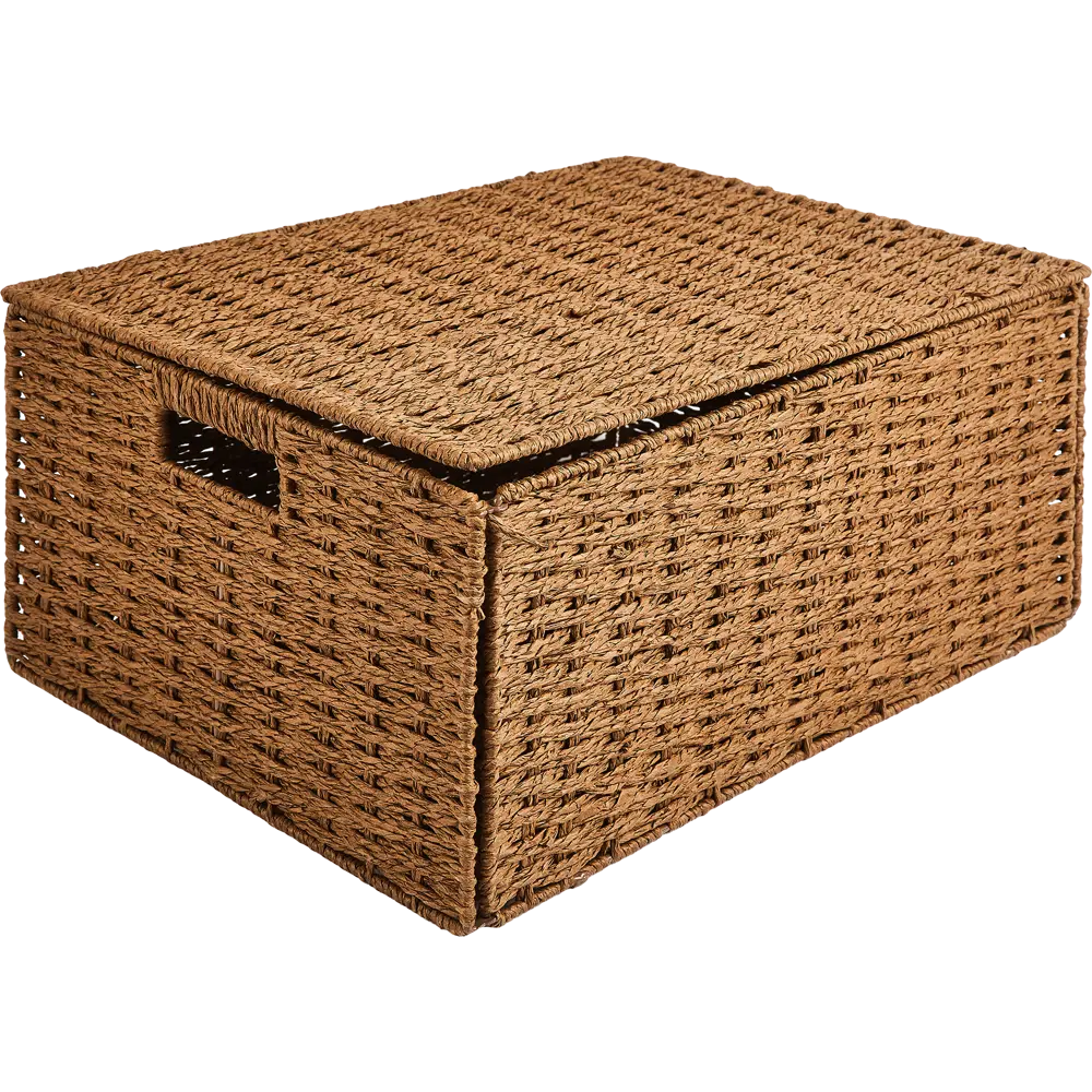 Корзина с крышкой для хранения 45x21x33 см бумага цвет коричневый SPACEO Kub STLM-2003506 - Вид №1