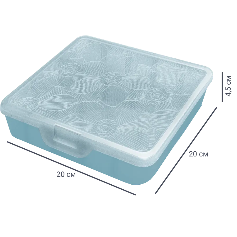 Органайзер для хранения L 20x20x4.5 см пластик с крышкой цвет голубой Santreyd STLM-2063880
