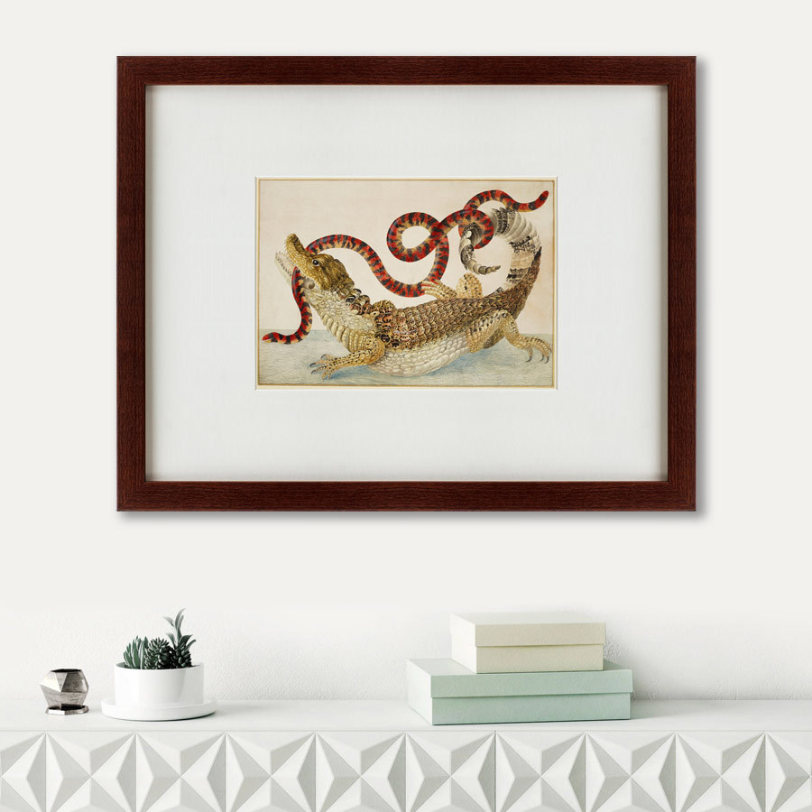 Картина в раме 60х47 см Surinam Caiman biting South American false coral snake, 1 КАРТИНЫ В КВАРТИРУ  135652 Коричневый  - Вид №1