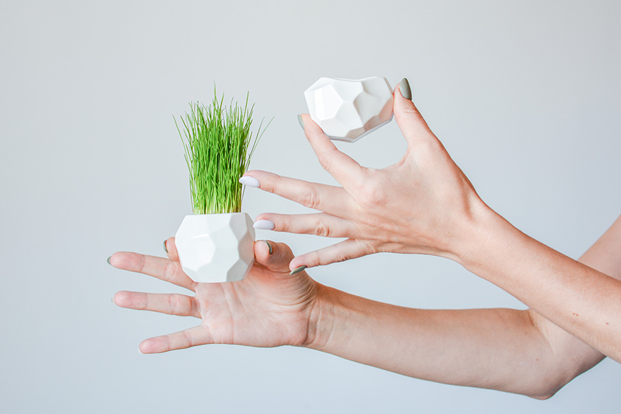 STM-2-03 Набор для выращивания eco кашпо магнит "метеорит" Экочеловеки  - Вид №1