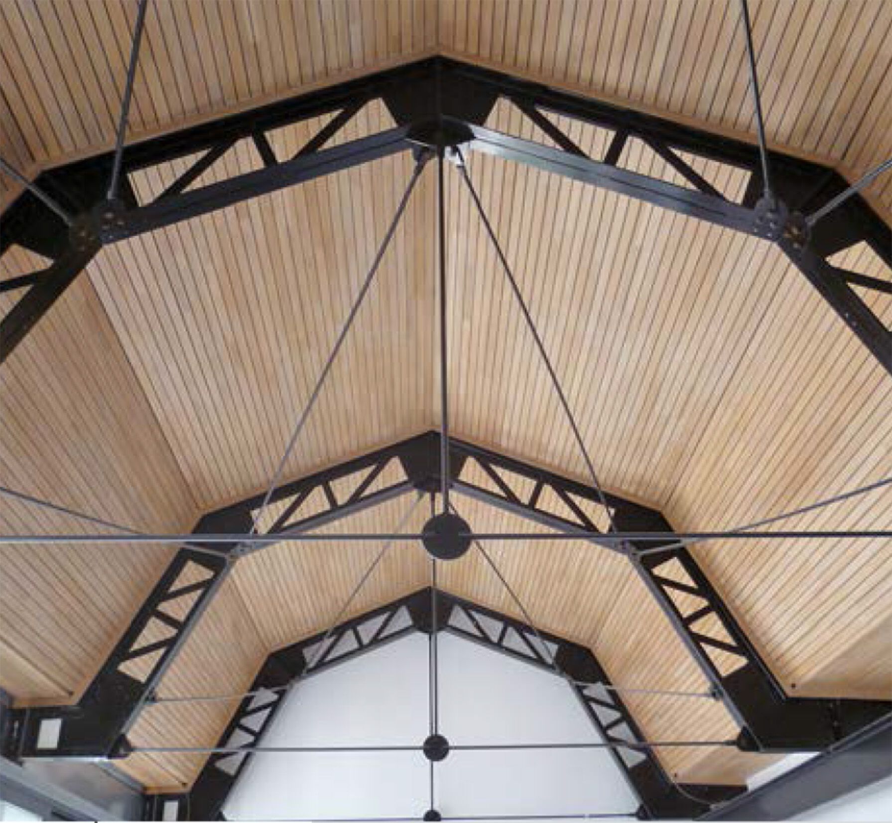 Сборный структурный элемент для кровли SIMONIN Sapisol® ARCH-00133147 - Вид №4