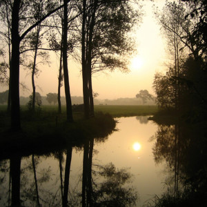 1890/CX38 Картина 0994 Adriani e Rossi