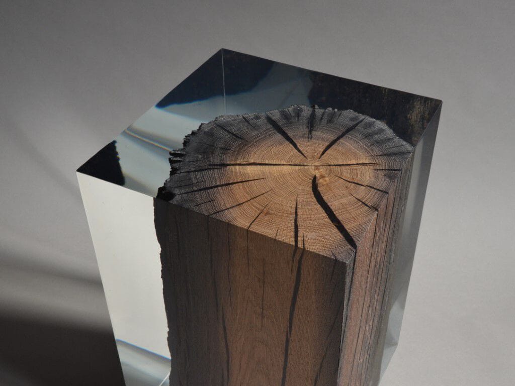 Журнальный столик / табурет alcarol Wetland ARCH-00051618 - Вид №9