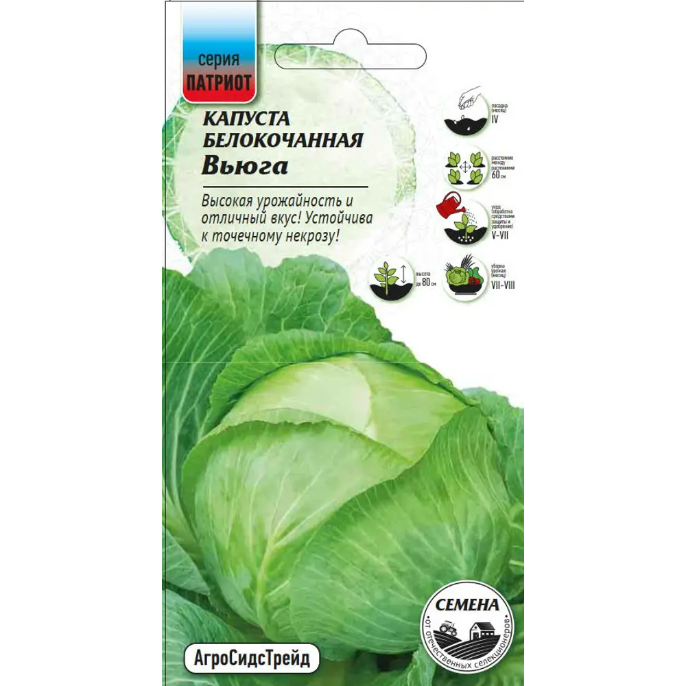 Семена овощей капуста белокочанная Вьюга Santreyd STLM-2138304