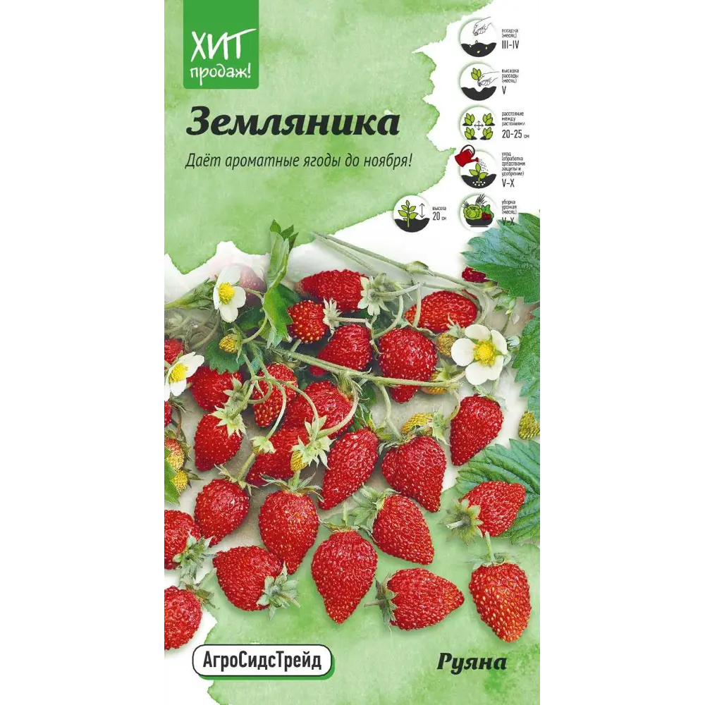 Семена ягод Агросидстрейд земляника Руяна Santreyd STLM-2094343