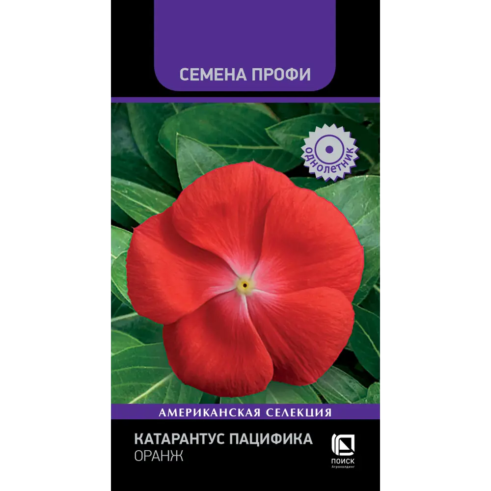 ПОИСК Вербена Кварц Пинк - розовое цветение для сада и вазонов 89401061 STLM-1571221