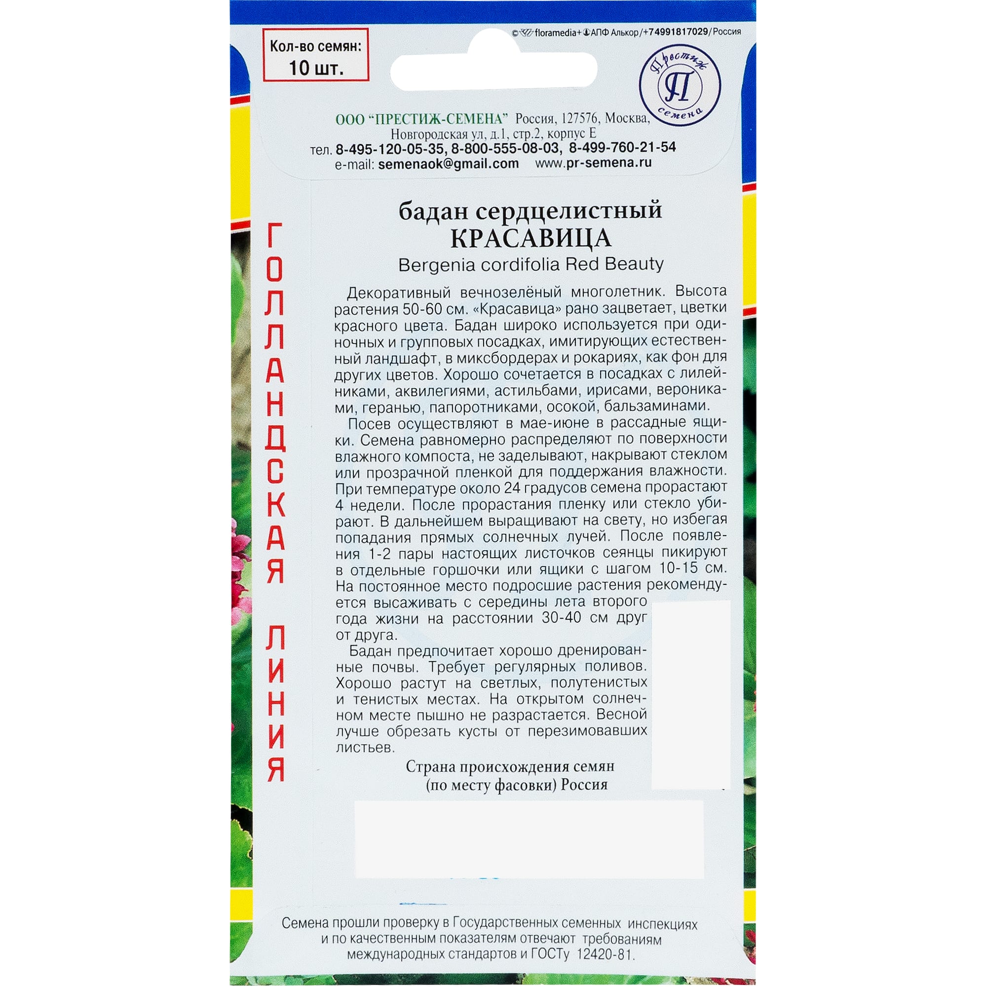 82107683 Бадан «Красавица» Santreyd  - Вид №1