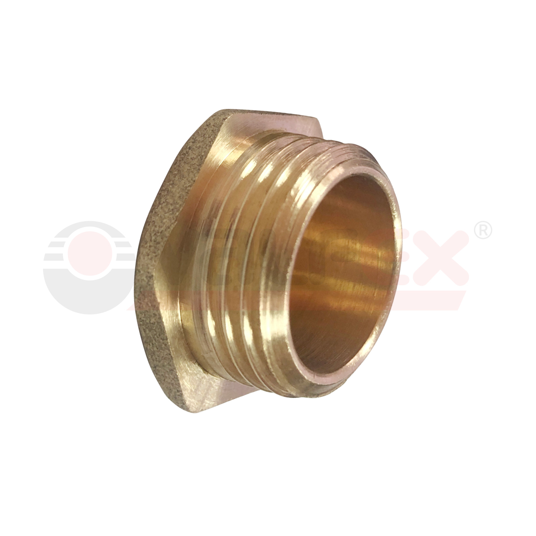 VF.583.L.012 Valfex Пробка резьбовая 