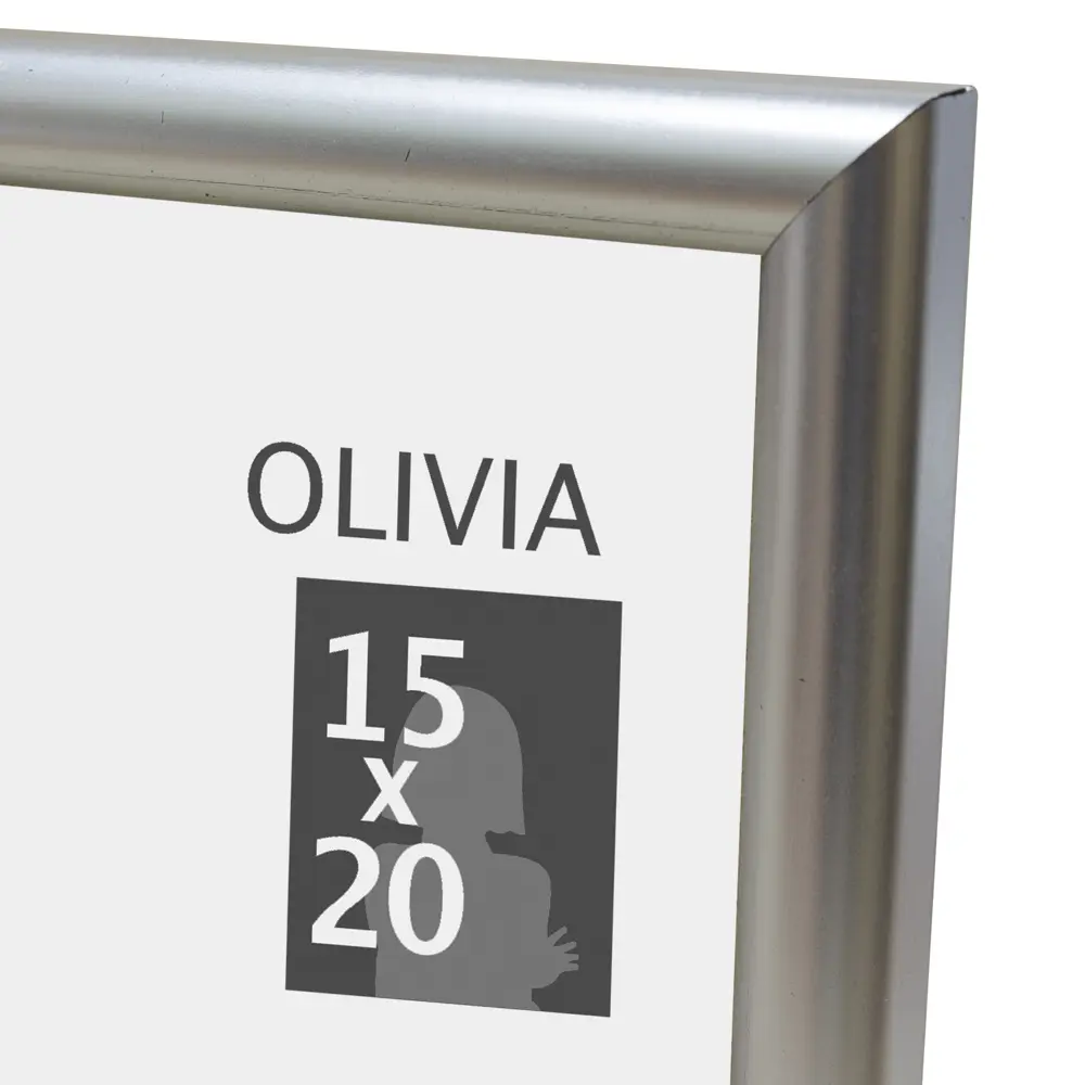 Рамка Olivia 15x20 см пластик цвет серебро Santreyd STLM-2109953