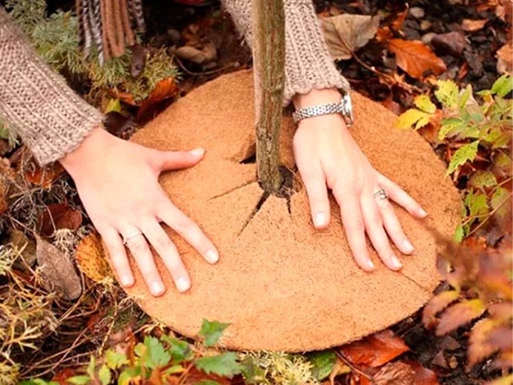 Круг приствольный Мульчаграм 90 см, комплект - 5шт ГеоПластБорд GPBST-246 - Вид №4