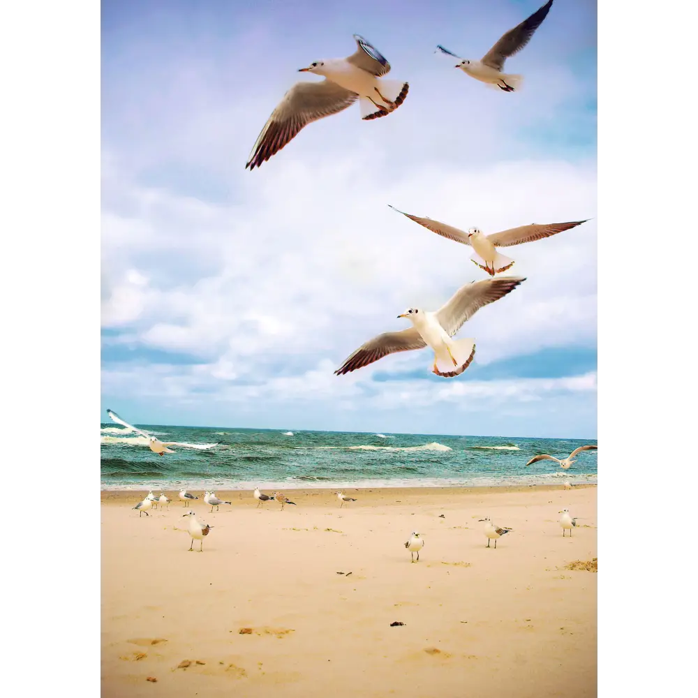 Постер Мечты о море 21x29.7/30x40 см 4 шт. 85817784 STLM-2043390 АРТ ДИЗАЙН  - Вид №2