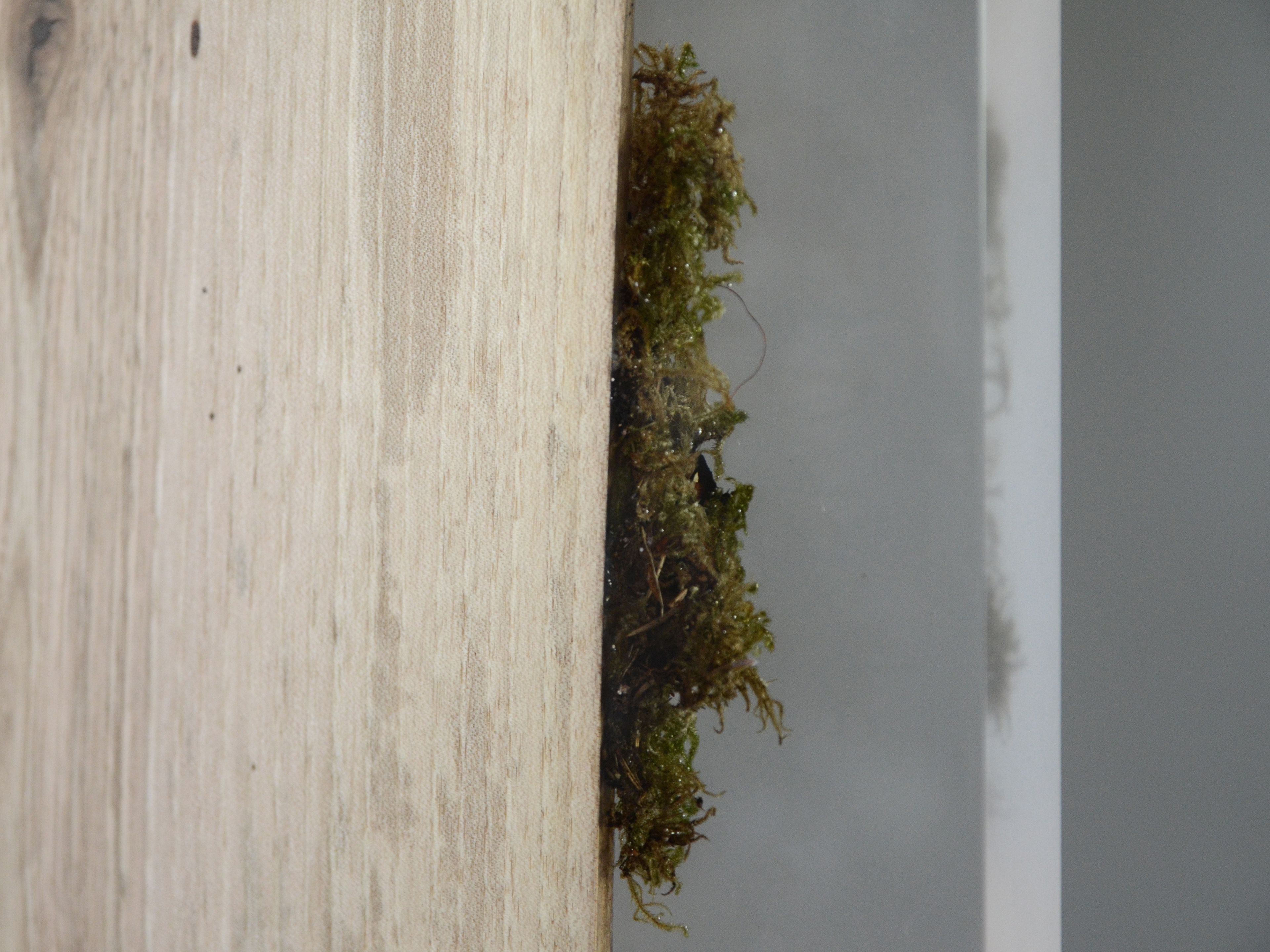 Ширма alcarol Подлесок ARCH-00061418 - Вид №5