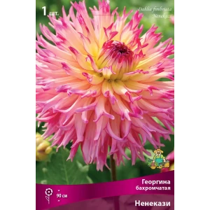 Георгины бахромчатые Ненекази I, 1 шт 82530135 STLM-2001554