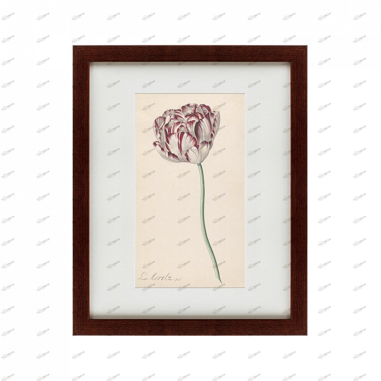 Литография на тонированной бумаге 42х52 см Tulp №2, 1815 КАРТИНЫ В КВАРТИРУ  135616 Бежевый;белый;розовый;разноцветный 