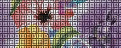 Dec Pixie Panno A 20х50 Ceradim sun-id-311878