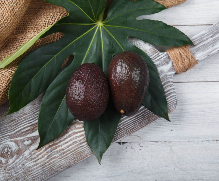 5428 Авокадо Хасс Вкусляндия  - Вид №2