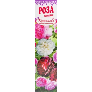Роза парковая «Фердинард Пичард» в коробке 82155316 STLM-2183748