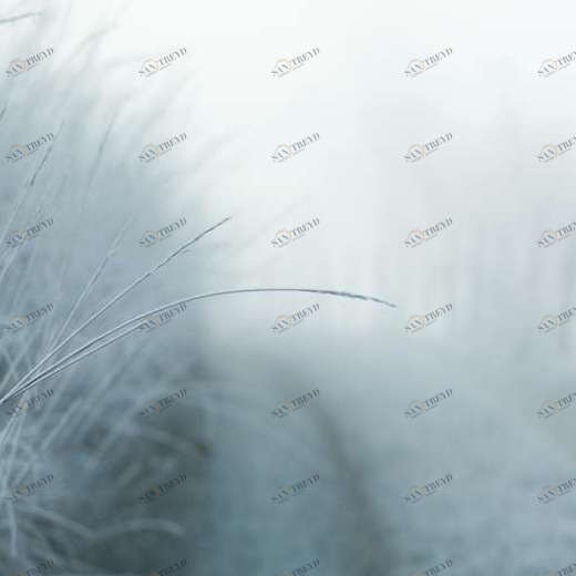 WP01656 Фотообои Verol Фотообои decoline 1х1 м