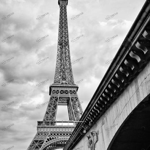 A1-011 Фотообои DIVINO Collection A 2.7х2 м A1011