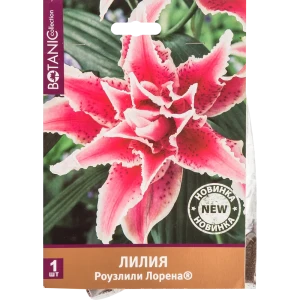 Лилия Роузлили Лорена 12/14, 1 шт 82539372 STLM-2114008