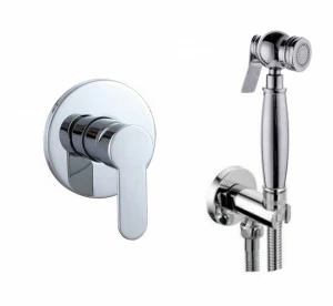 Смеситель с гигиеническим душем Ganzer Haiger GZ5202 Хром