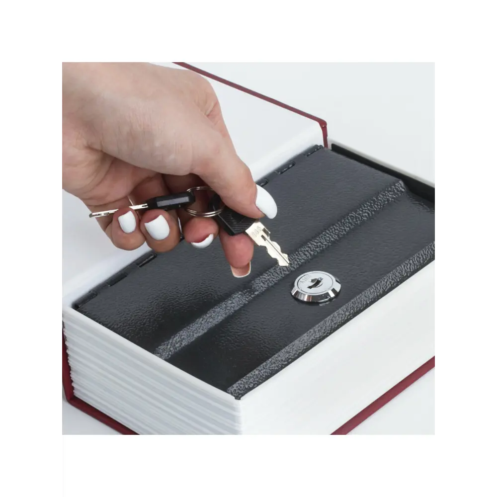 Сейф-книга Brauberg "Остров сокровищ" 18x11.5x5.5 см Santreyd STLM-2037065 - Вид №4