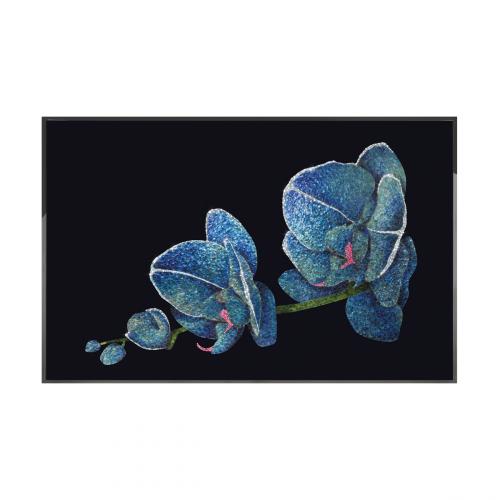 Orchidea Blu Смешанная техника Visionnaire 