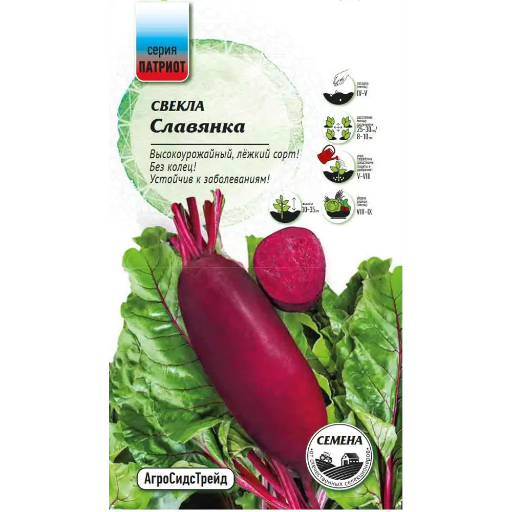 Семена овощей Патриот свекла Славянка 89405172 STLM-2069803 Santreyd 
