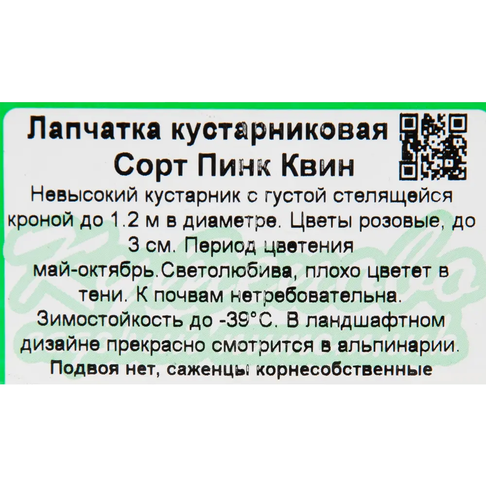 Лапчатка «Пинк Квин» 15x30 см 82595155 STLM-2208731 Santreyd  - Вид №2