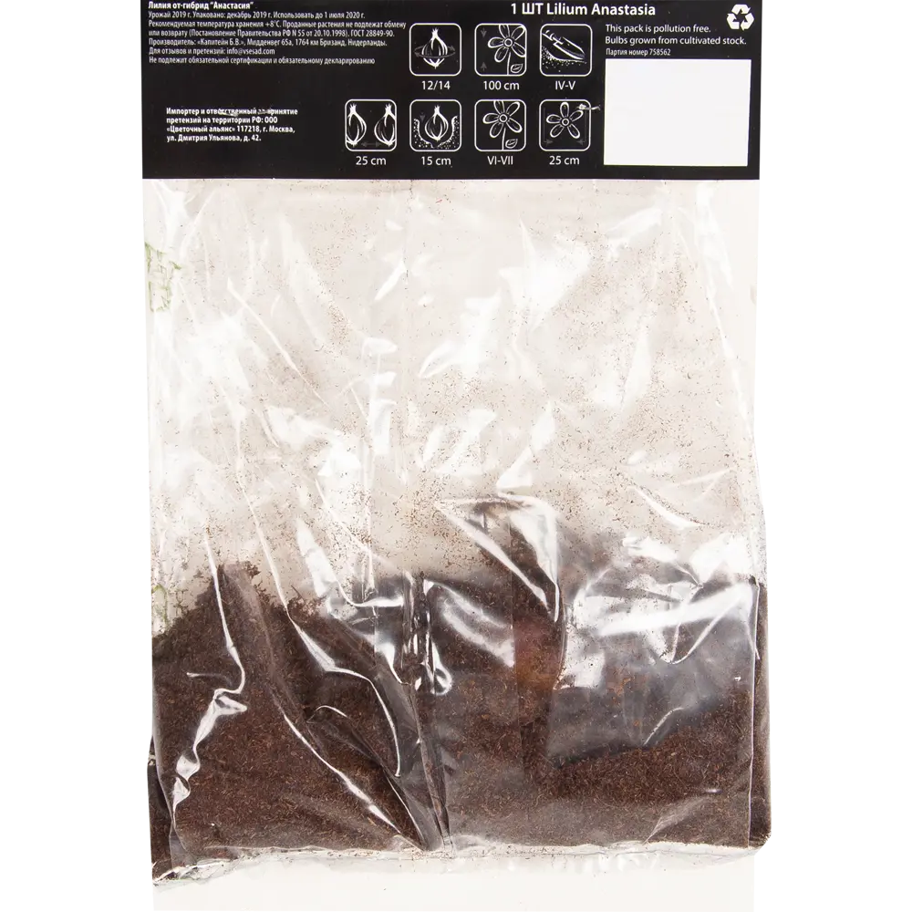 Лилия ОТ-гибрид Анастасия 12/14, 1 шт 82539394 STLM-2029277 КОЛИБРИ  - Вид №2