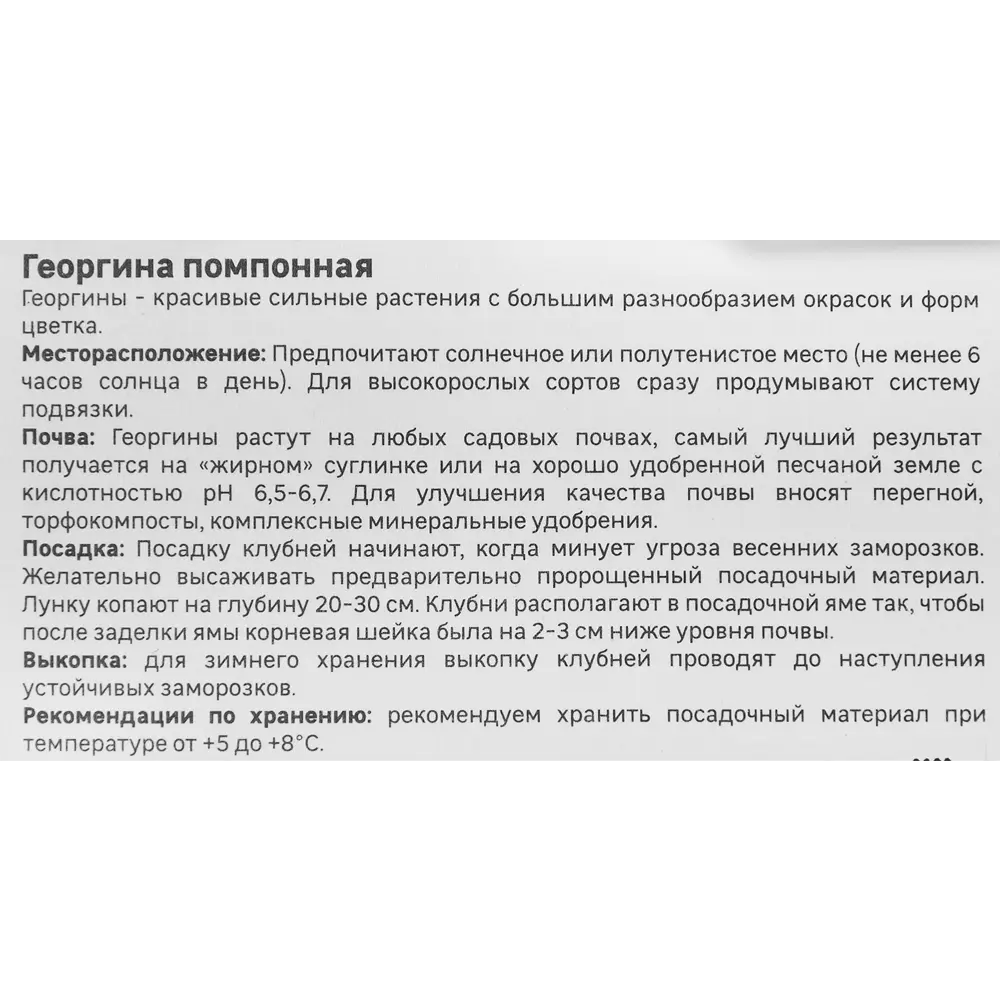 Георгина помпонная Голден Септер 86408566 STLM-2027439 Santreyd  - Вид №3