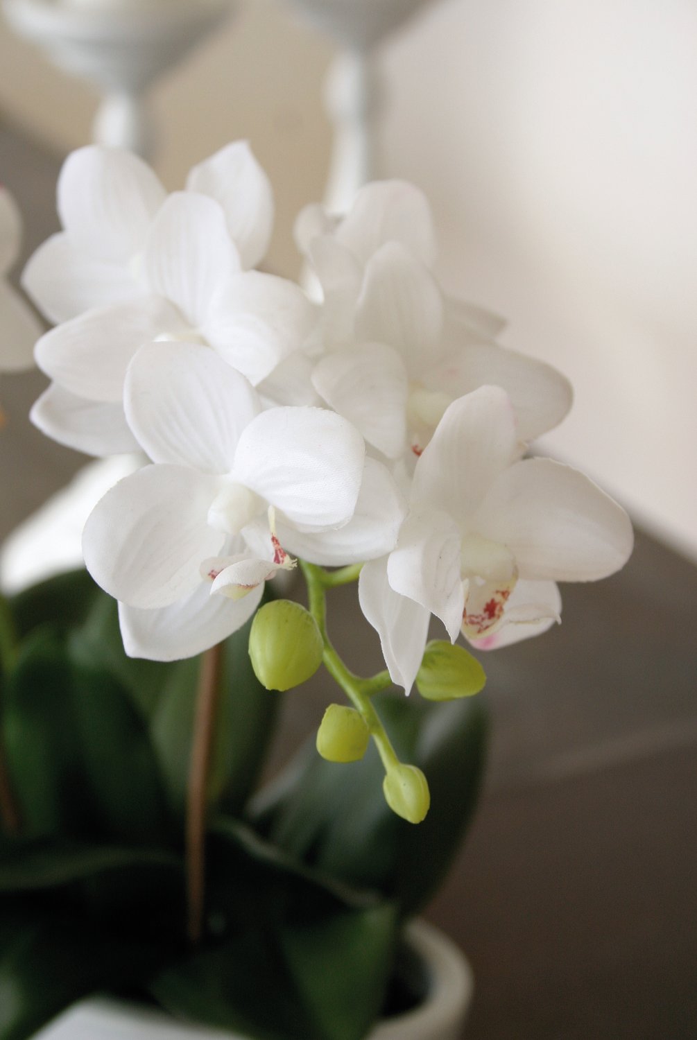 2609 777 a3 Пластиковая орхидея Phalaenopsis, 3-х кратная, в чаше, 38 см, real touch, белая H-andreas  - Вид №6