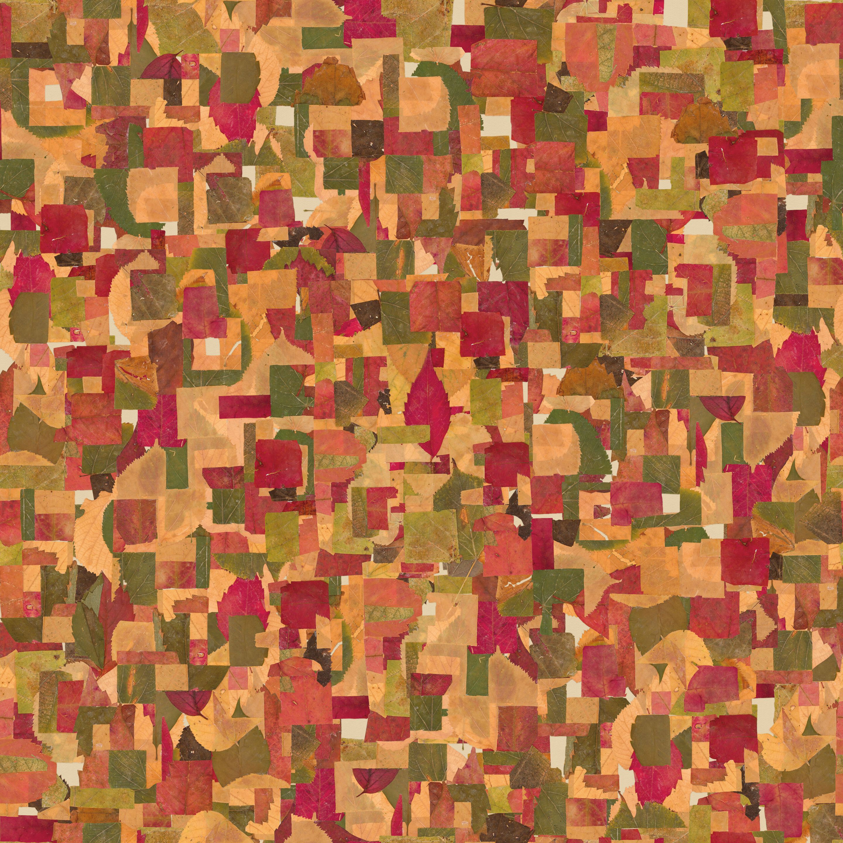 Обои с цифровой печатью Inkiostro Bianco Флора ARCH-00131068 - Вид №1