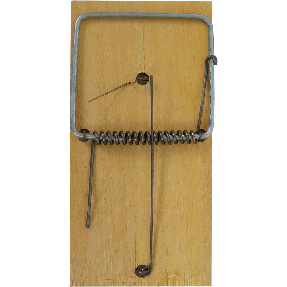 Крысоловка Rat&Mouse дерево STLM-2047911 - Вид №1