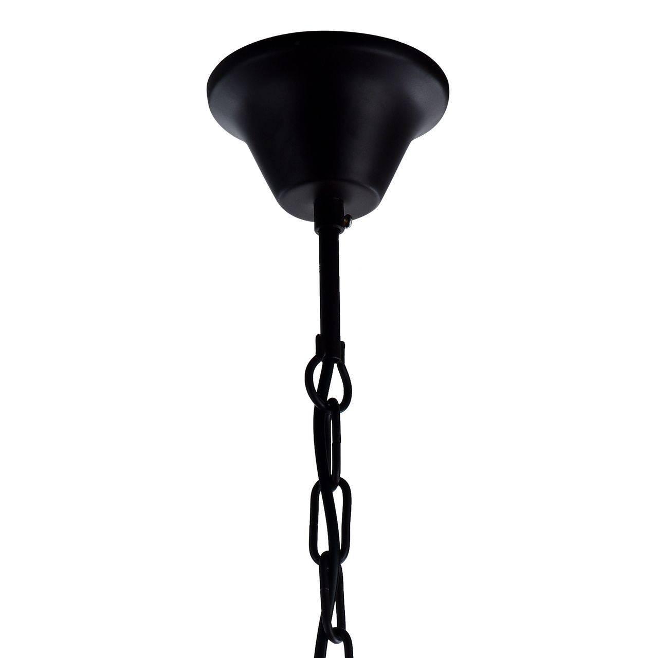 Подвесной светильник Favourite Brook 1785-1P FAVOURITE BROOK 086670 Черный  - Вид №1