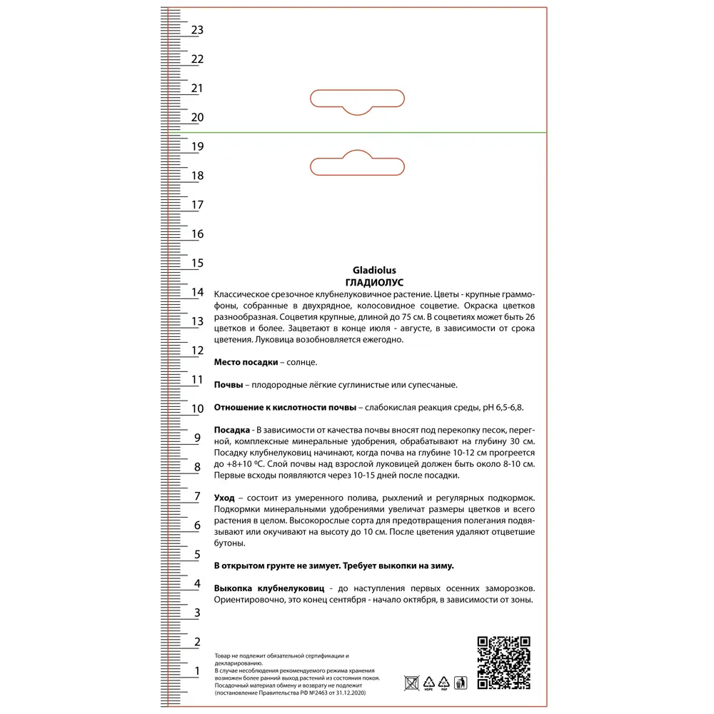 Гладиолус крупноцветковый Корнелли 3 шт ПОИСК STLM-2129771 - Вид №1